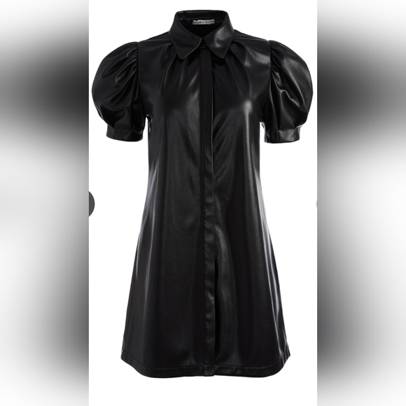 Alice + Olivia jem vegan leather mini shift dress XS - Picture 12 of 16